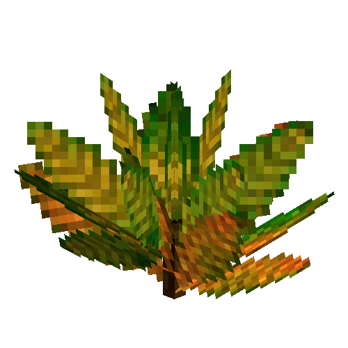 Small croton (Green orange)