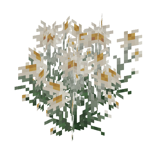 flower-edelweiss-snow
