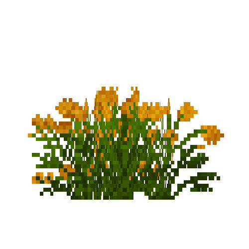 flower-goldenpoppy-snow