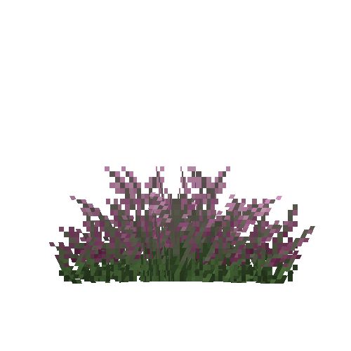 Heather