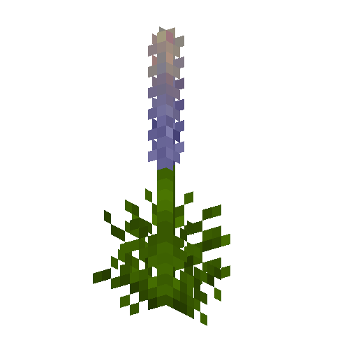 flower-lupine-blue-free