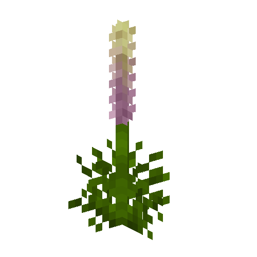flower-lupine-purple-free