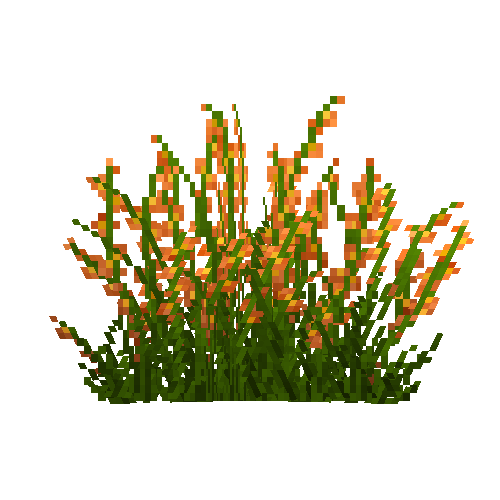 flower-orangemallow-snow