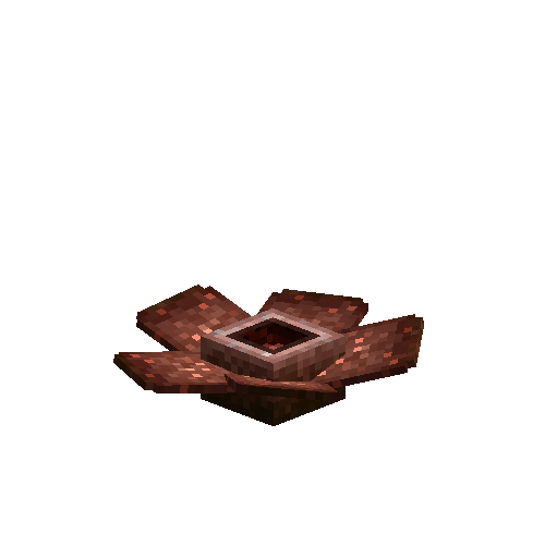 Brown Rafflesia