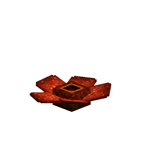 Red Rafflesia