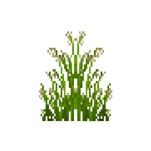 flower-redtopgrass-free