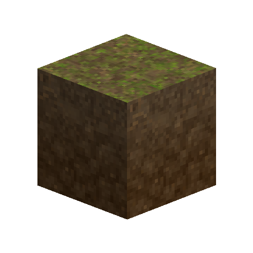 forestfloor-2