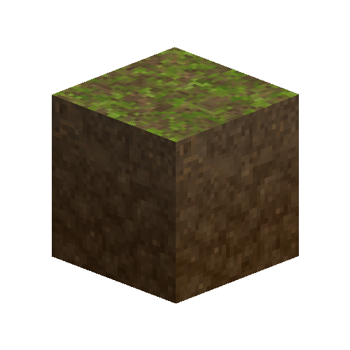 forestfloor-3