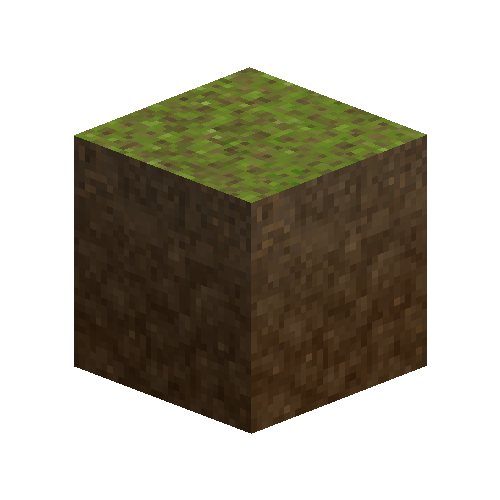 forestfloor-4