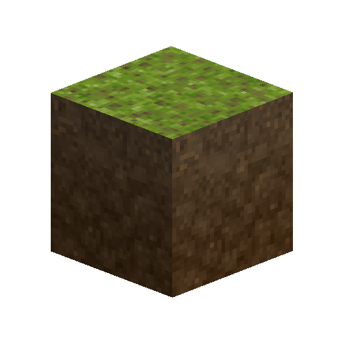 forestfloor-6