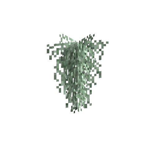 Lace lichen