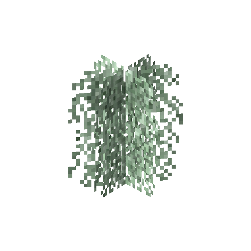 Lace lichen