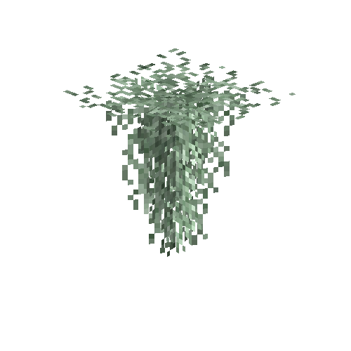 Lace lichen