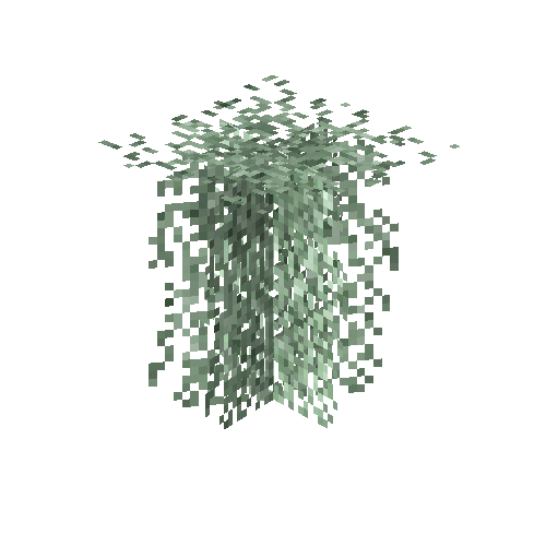 Lace lichen