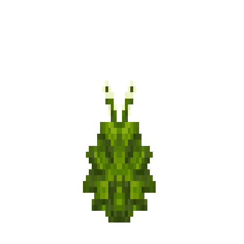 Basil