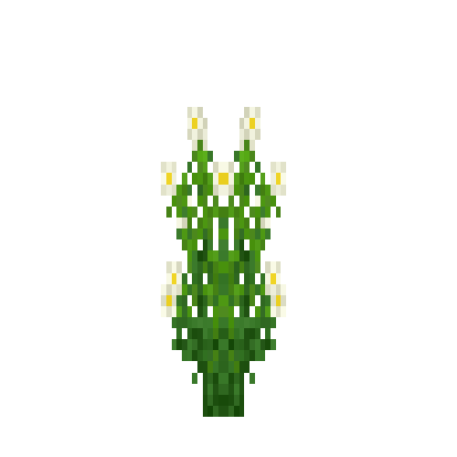 Chamomile