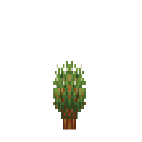 Thyme