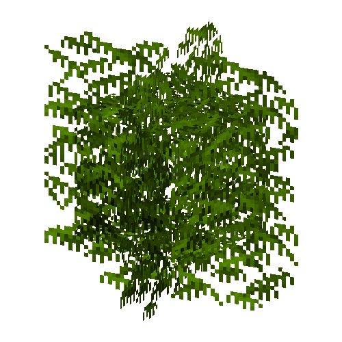 leaves-grown-larch