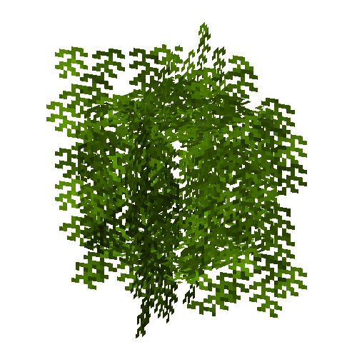 leaves-grown1-walnut