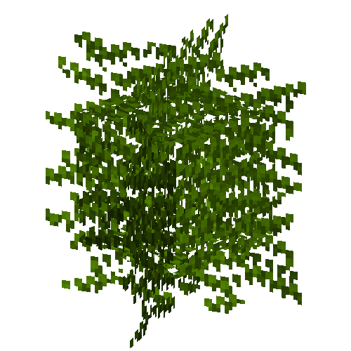 leaves-grown6-acacia