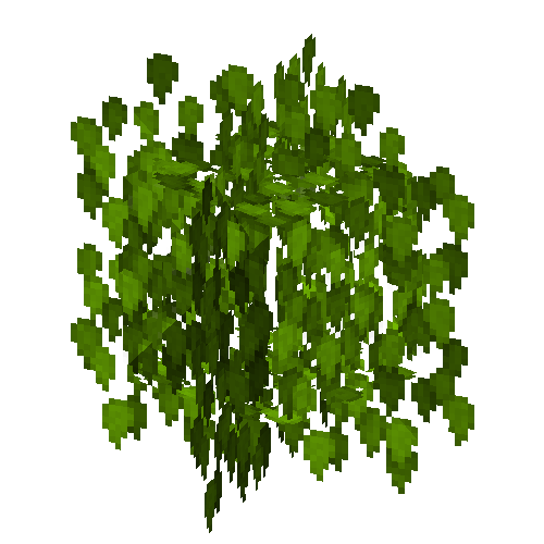 leaves-grown6-birch