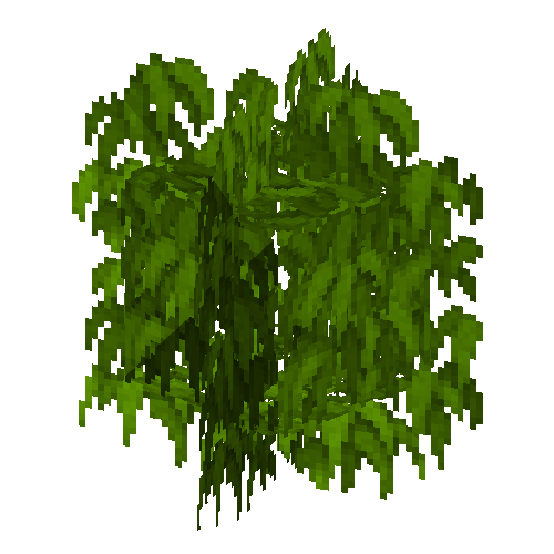 leaves-grown6-kapok