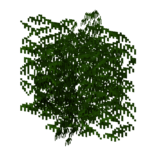 leaves-grown7-redwood