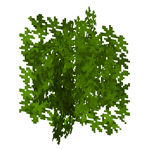 leaves-placed-maple