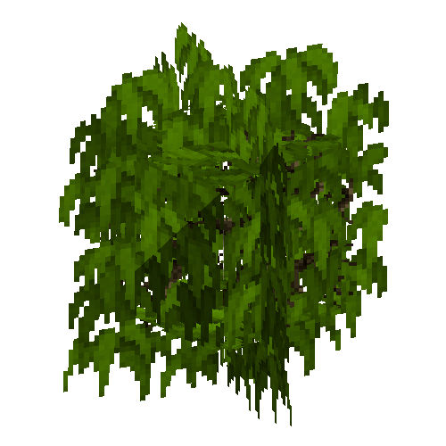 leavesbranchy-grown-kapok