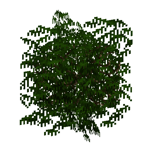 leavesbranchy-grown1-redwood
