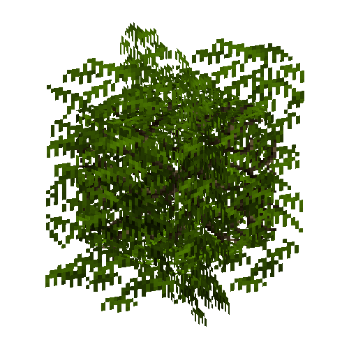 leavesbranchy-grown7-pine