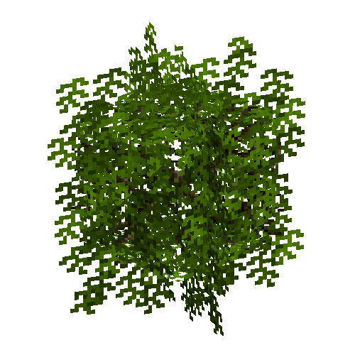 leavesbranchy-placed-walnut