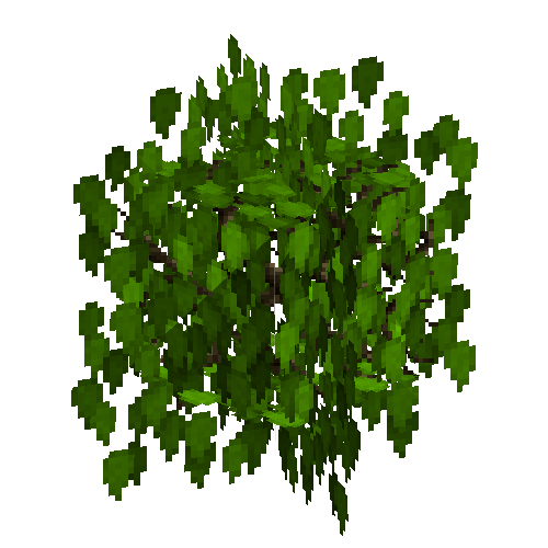 leavesbranchystatic-grown-birch