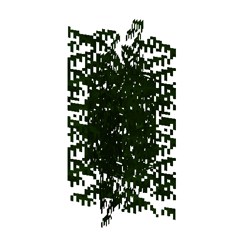 leavesnarrow-grown-cypress-3