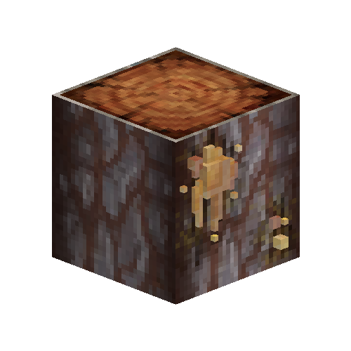 Leaking acacia log with resin