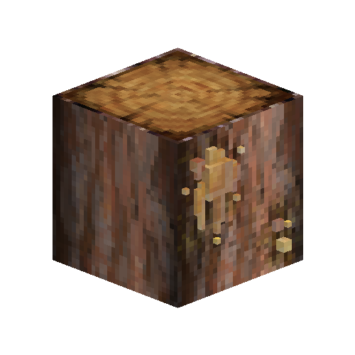 Leaking pine log with resin