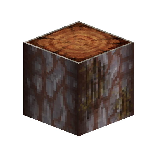 Leaking acacia log