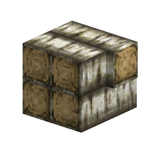 logquad-barkedcorner-birch-east