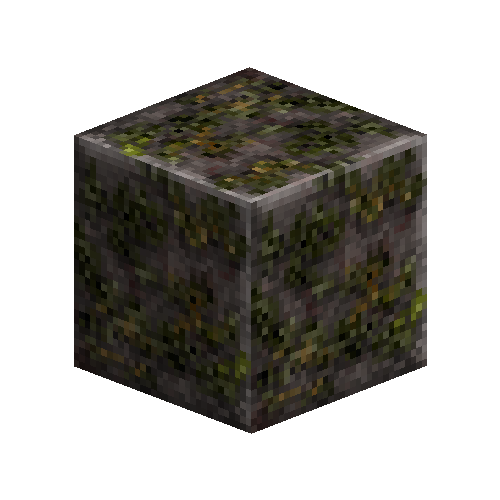 Mossy polished rock (Phyllite)