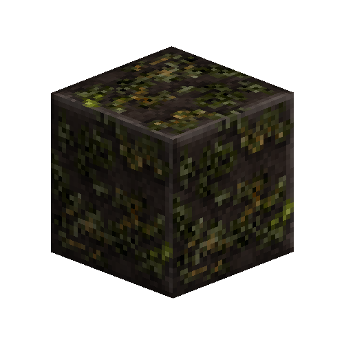 Mossy polished rock (Slate)