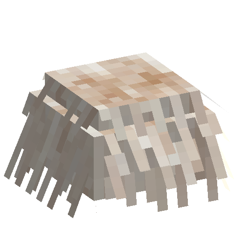 mushroom-beardedtooth-normal-north