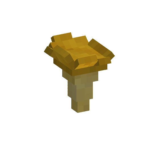 Chanterelle
