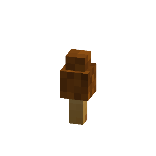Common morel