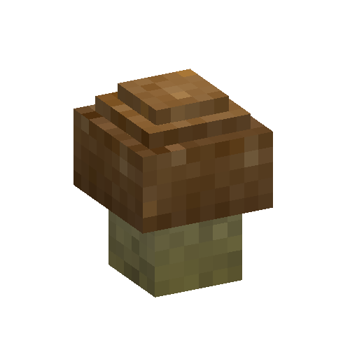 King bolete