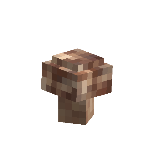 mushroom-shiitake-normal-west
