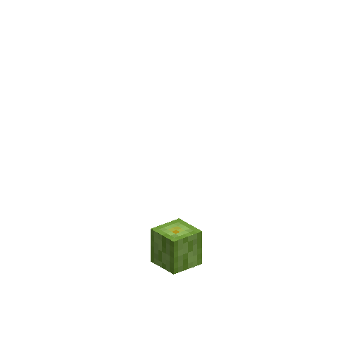 pumpkin-fruit-1