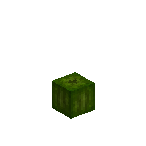 pumpkin-fruit-2
