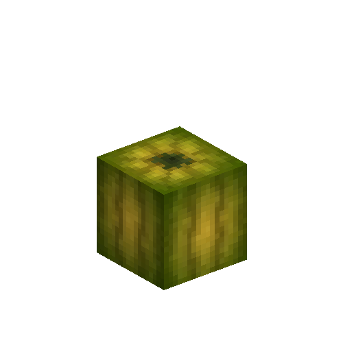 pumpkin-fruit-3