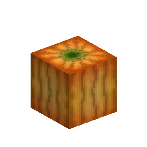 Mature pumpkin