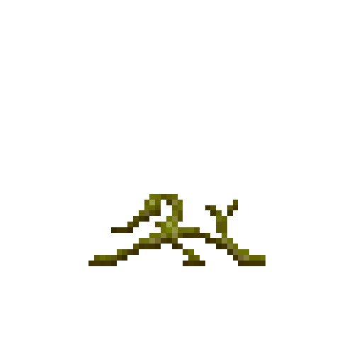 Withered pumpkin vine